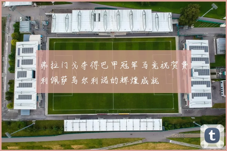 弗拉门戈夺得巴甲冠军马竞祝贺费利佩萨乌尔利诺的辉煌成就