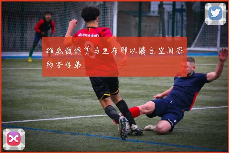 雄鹿裁掉贾马里布耶以腾出空间签约字母弟